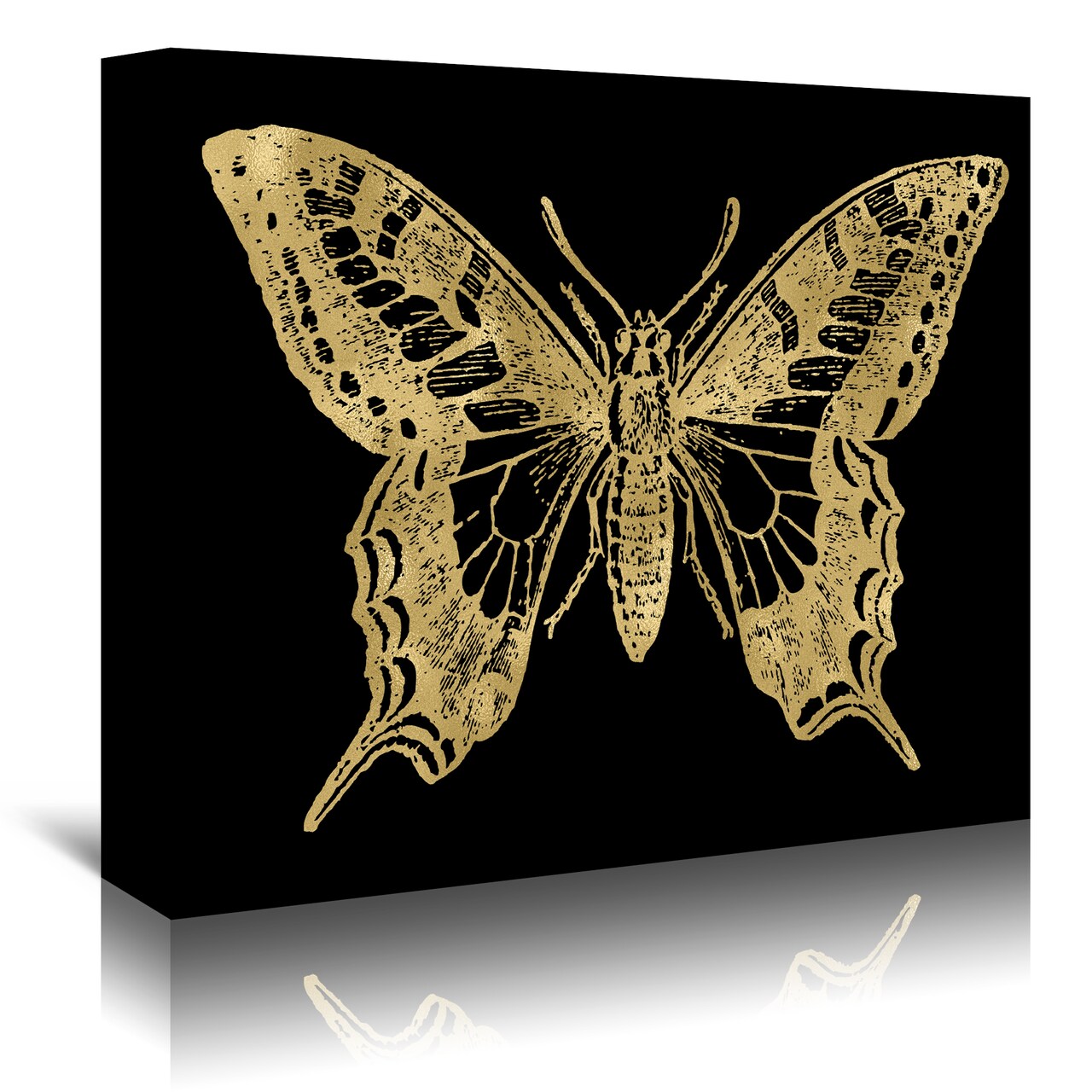 Butterfly  Gold On Black by Amy Brinkman  Gallery Wrapped Canvas - Americanflat